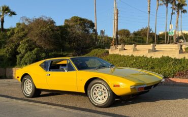 De-Tomaso-Pantera-1971-Coupe-5