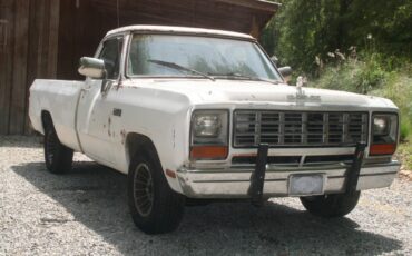 Dodge-150-1982-Standard-Cab-Pickup-2