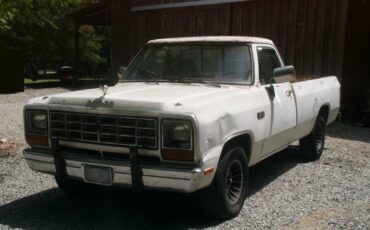 Dodge-150-1982-Standard-Cab-Pickup