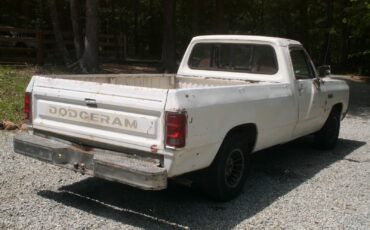 Dodge-150-1982-Standard-Cab-Pickup-6