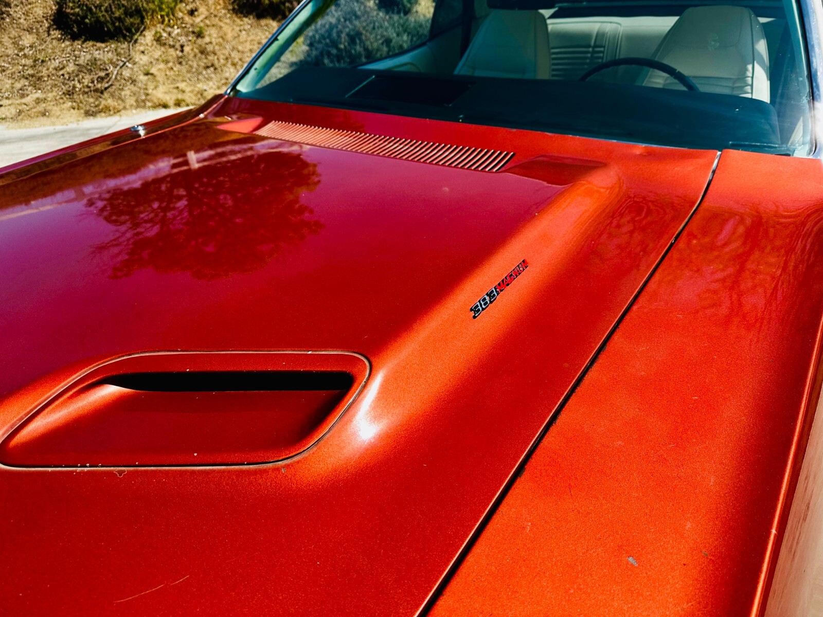 Dodge-Challenger-1970-Coupe-10