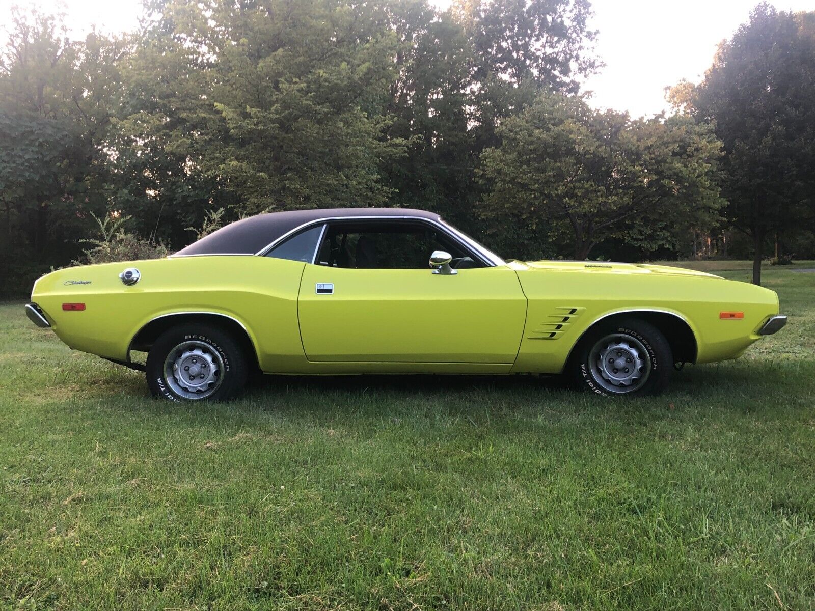 Dodge-Challenger-1974-Coupe-2