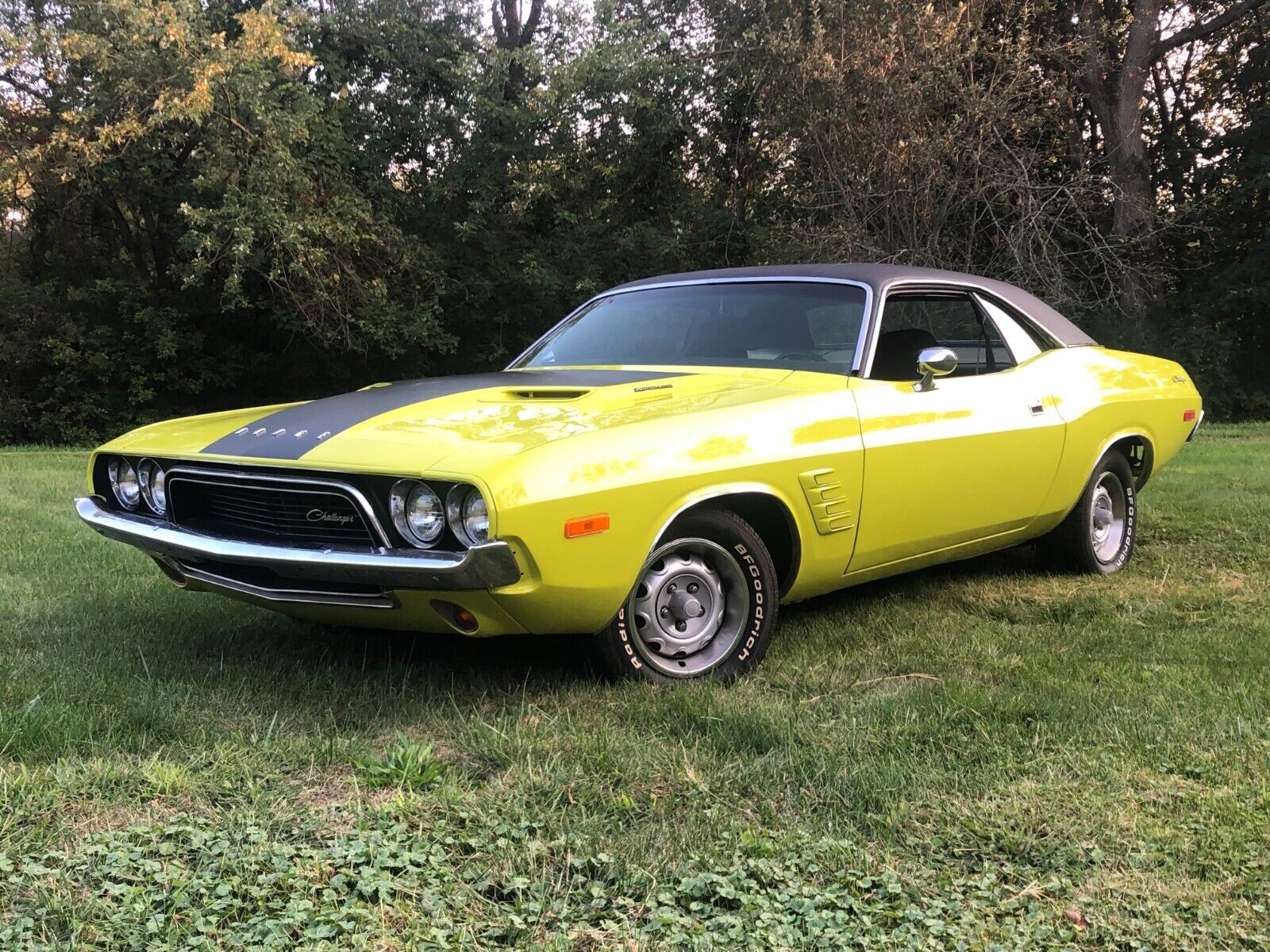 Dodge-Challenger-1974-Coupe-37