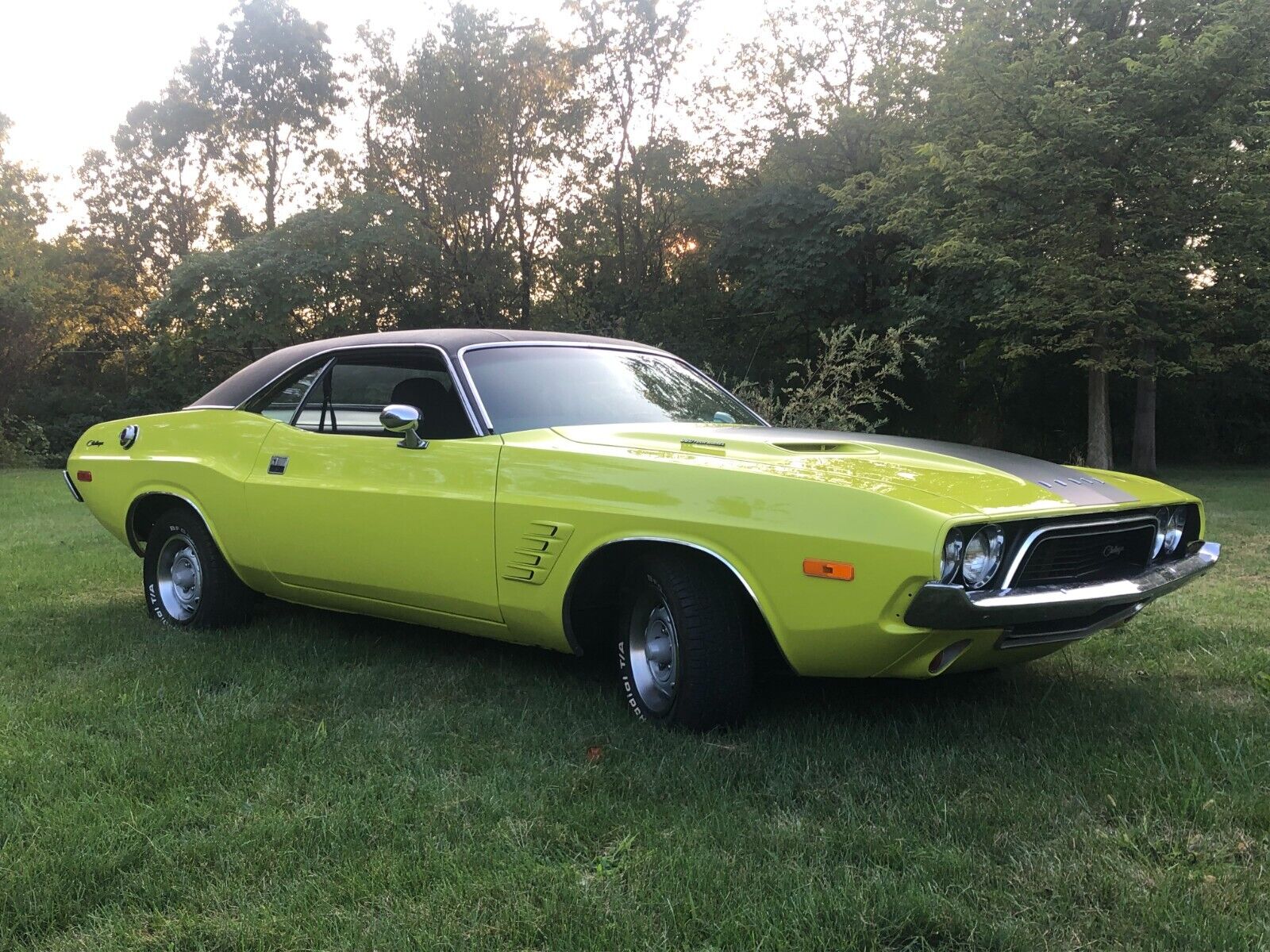 Dodge Challenger 1974 Coupe