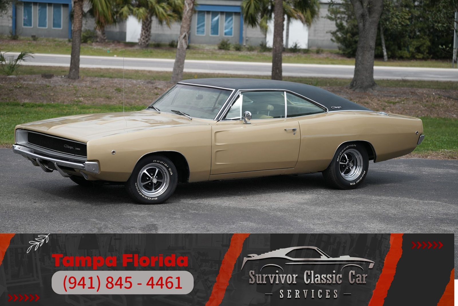 Dodge Charger 1968 Other