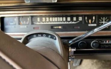 Dodge-Charger-rallye-1974-silver-15