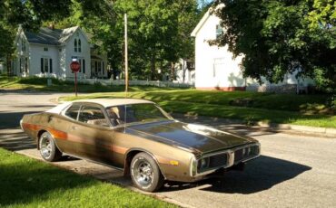 Dodge-Charger-rallye-1974-silver-2