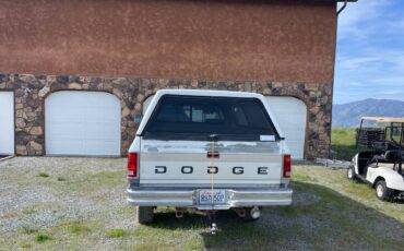 Dodge-Cummins-diesel-1993-white-8