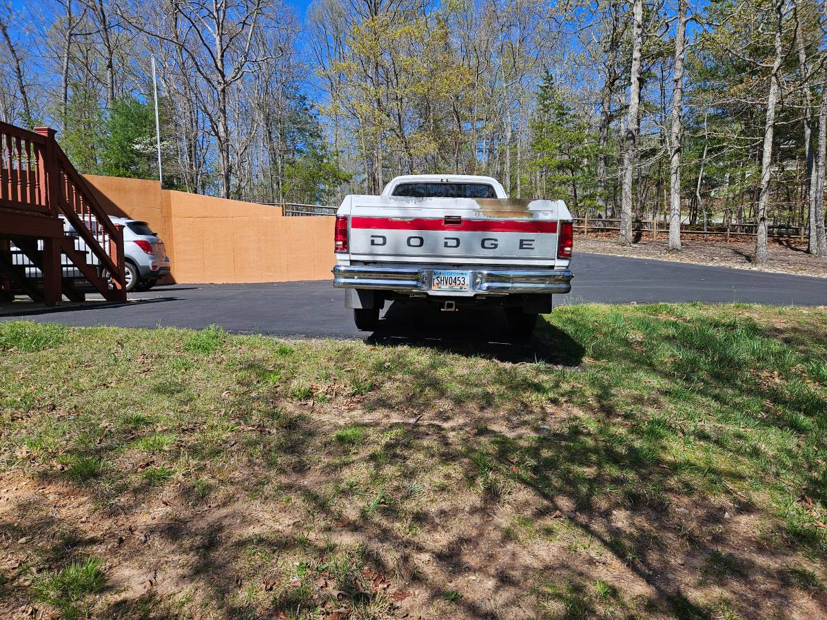 Dodge-D-250-diesel-1993-white-2