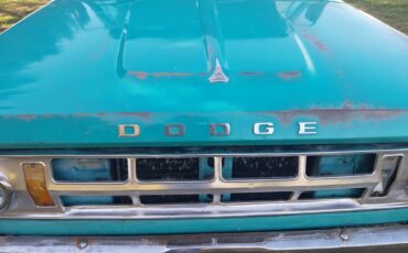 Dodge-D100-1969-Standard-Cab-Pickup-39