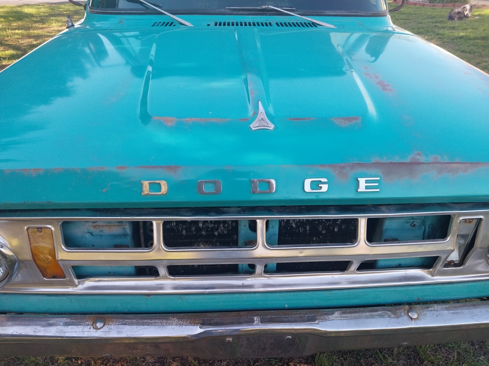 Dodge-D100-1969-Standard-Cab-Pickup-39