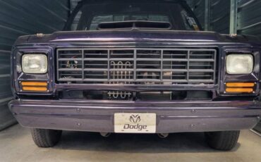 Dodge-D100-step-side-1982-custom-1