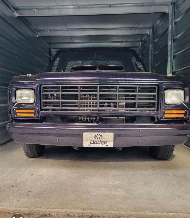 Dodge-D100-step-side-1982-custom-1