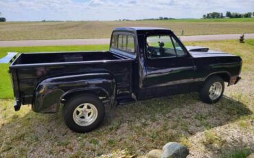Dodge-D100-step-side-1982-custom-2