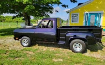 Dodge-D100-step-side-1982-custom-5