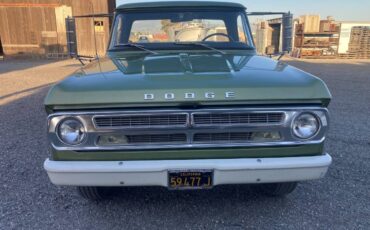 Dodge-D200-1971-green-19