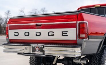 Dodge-D250-W250-1993-Pickup-Truck-14