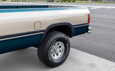 Dodge-D250-W250-1993-Pickup-Truck-17