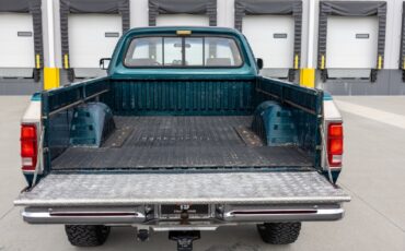 Dodge-D250-W250-1993-Pickup-Truck-18