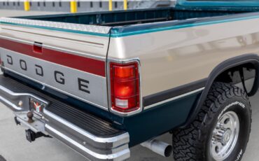 Dodge-D250-W250-1993-Pickup-Truck-19