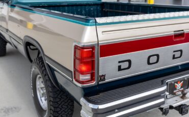 Dodge-D250-W250-1993-Pickup-Truck-20