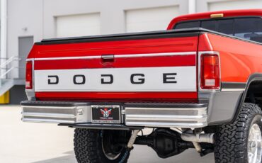 Dodge-D250-W250-1993-Pickup-Truck-21
