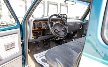 Dodge-D250-W250-1993-Pickup-Truck-33