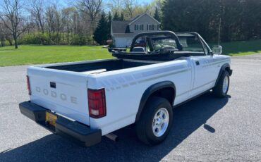 Dodge-Dakota-convertible-1990-white-3