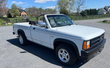 Dodge-Dakota-convertible-1990-white-5
