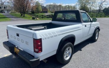 Dodge-Dakota-convertible-1990-white-6