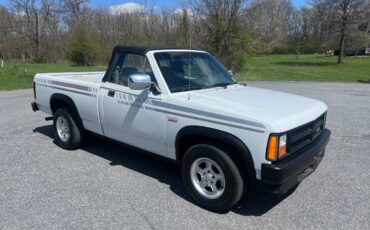 Dodge-Dakota-convertible-1990-white-7