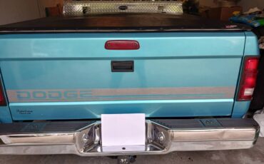Dodge-Dakota-slt-1995-custom-3