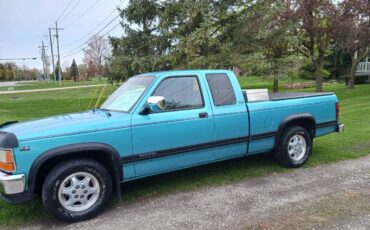 Dodge-Dakota-slt-1995-custom
