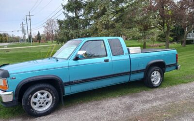 Dodge Dakota slt  1995 custom