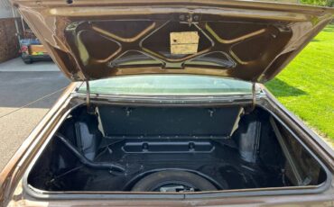 Dodge-Dart-sport-1974-brown-2
