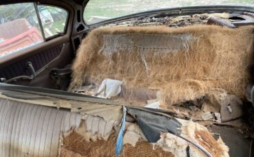 Dodge-Desoto-Firedome-1953-Sedan-11