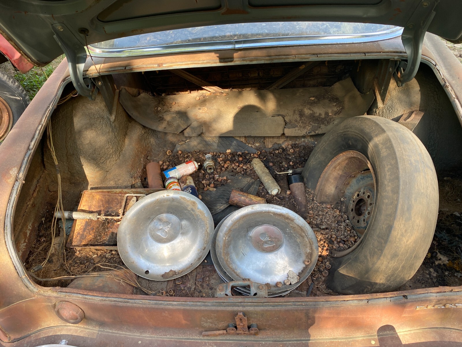 Dodge-Desoto-Firedome-1953-Sedan-4