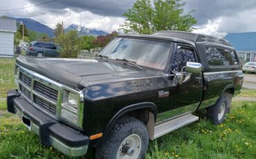 Dodge-Diesel-1993-black-10