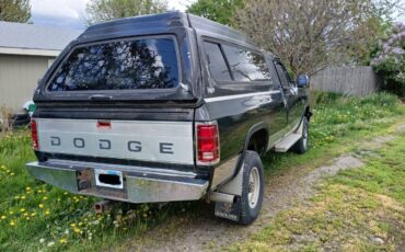 Dodge-Diesel-1993-black-6
