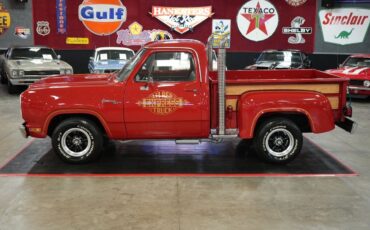 Dodge-Other-Pickups-1979-Truck-10