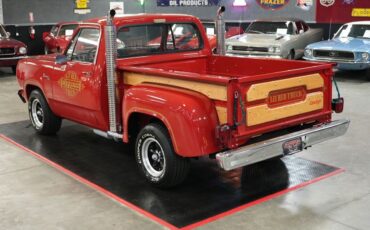 Dodge-Other-Pickups-1979-Truck-12
