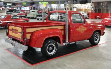 Dodge-Other-Pickups-1979-Truck-14