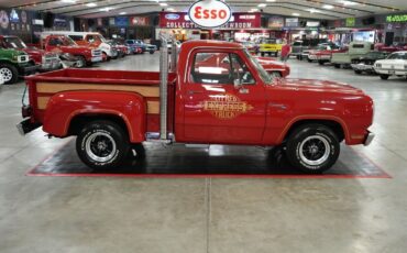 Dodge-Other-Pickups-1979-Truck-15