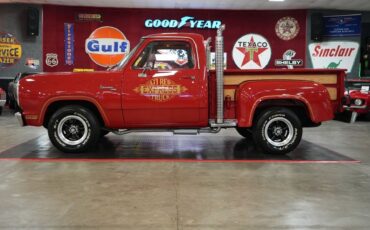 Dodge-Other-Pickups-1979-Truck-19
