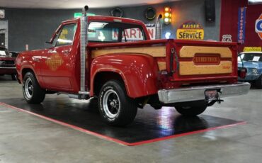 Dodge-Other-Pickups-1979-Truck-20
