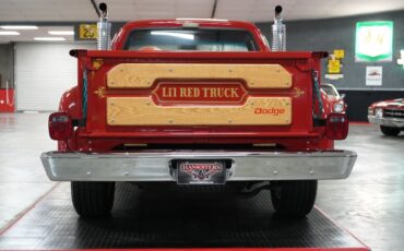Dodge-Other-Pickups-1979-Truck-21