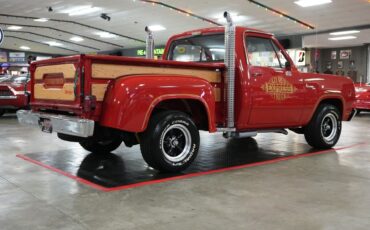 Dodge-Other-Pickups-1979-Truck-22