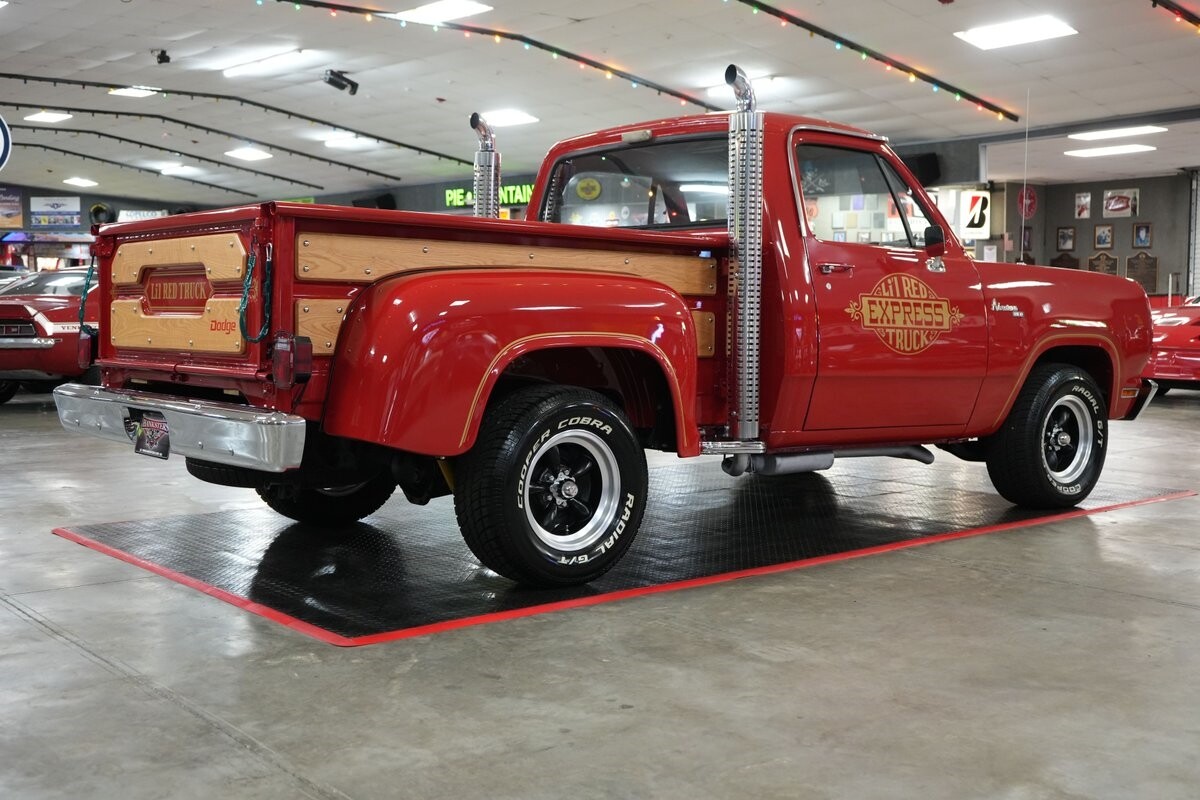 Dodge-Other-Pickups-1979-Truck-22