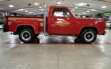Dodge-Other-Pickups-1979-Truck-23
