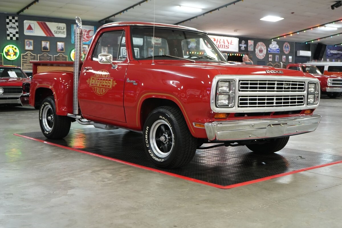 Dodge-Other-Pickups-1979-Truck-24